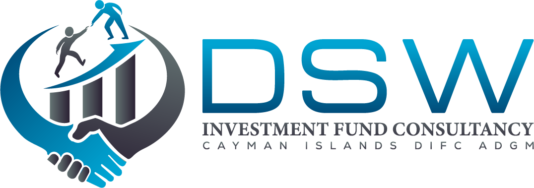 DSW Investment Fund Consultancy